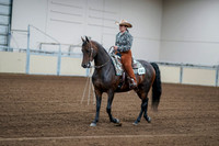 2020 - AB Morgan Horse - Fri, Sept 04 - 00049