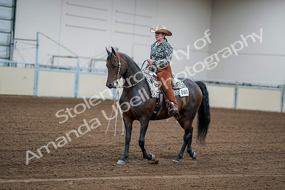 2020 - AB Morgan Horse - Fri, Sept 04 - 00049