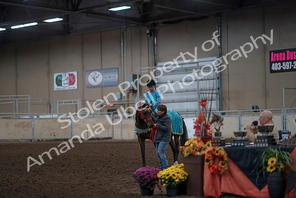 2019 Morgan Horse Show - Aug 31, 2019 - 10110