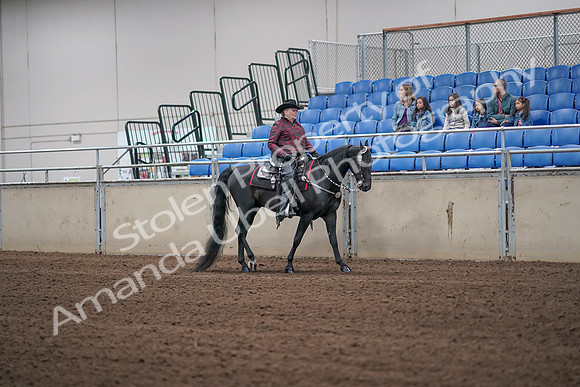 2019 Morgan Horse Show - Aug 31, 2019 - 10657