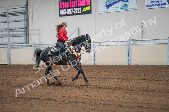 2020 - AB Morgan Horse - Sat, Sept 05 - 10540