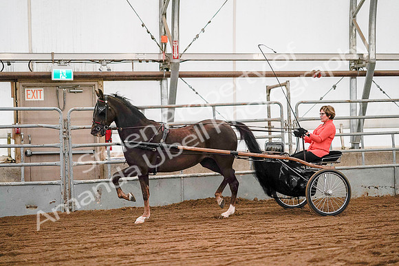 July 19, 2019 - 6978