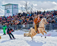 Bailey - 2020 - Skijor - Sat, Feb 22 - 06385