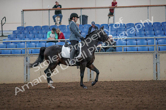 2019 Morgan Horse Show - Aug 31, 2019 - 07459