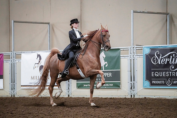 Spring Fling - Saturday - April 20, 2019  -  04180