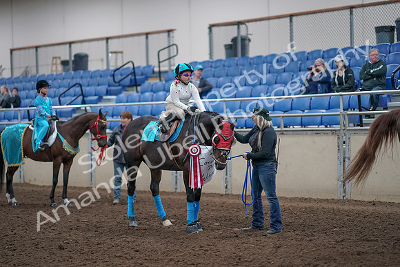 2019 Morgan Horse Show - Aug 31, 2019 - 10113