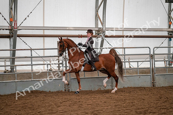 July 19, 2019 - 10334