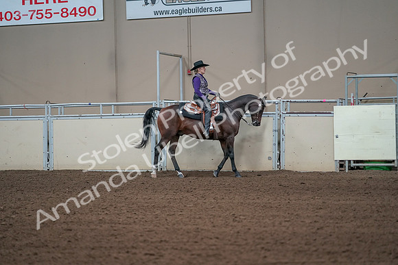 2019 Morgan Horse Show - Aug 31, 2019 - 10741