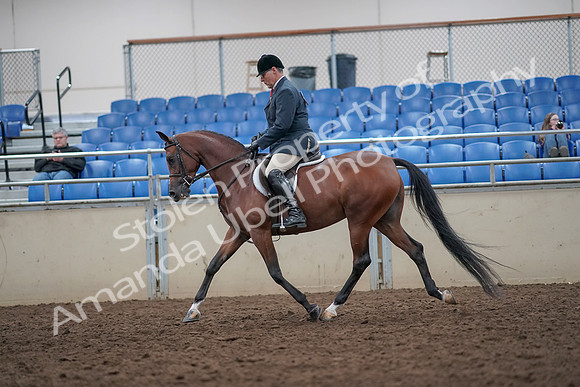 2019 Morgan Horse Show - Aug 31, 2019 - 14836