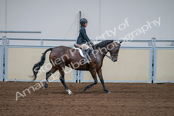 2020 - AB Morgan Horse - Fri, Sept 04 - 01813