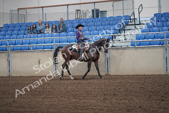 2019 Morgan Horse Show - Aug 31, 2019 - 10779