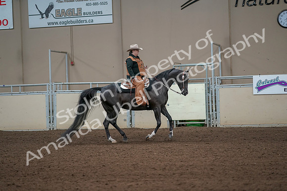 2019 Morgan Horse Show - Aug 31, 2019 - 06159