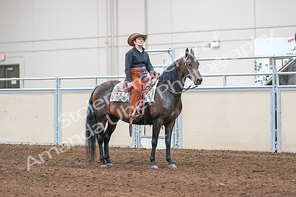 2020 - AB Morgan Horse - Sun, Sept 06 - 01654