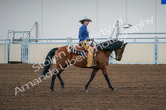 2020 - AB Morgan Horse - Fri, Sept 04 - 00112