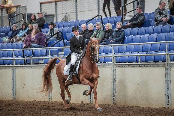 Spring Fling - Saturday - April 20, 2019  -  03709