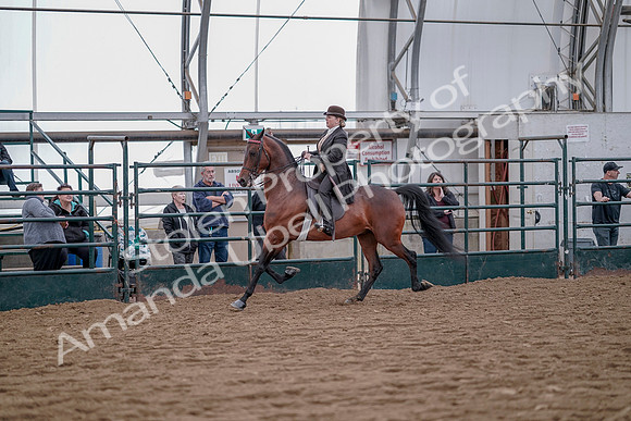 July 20, 2019 - 13857