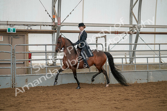 July 20, 2019 - 04262