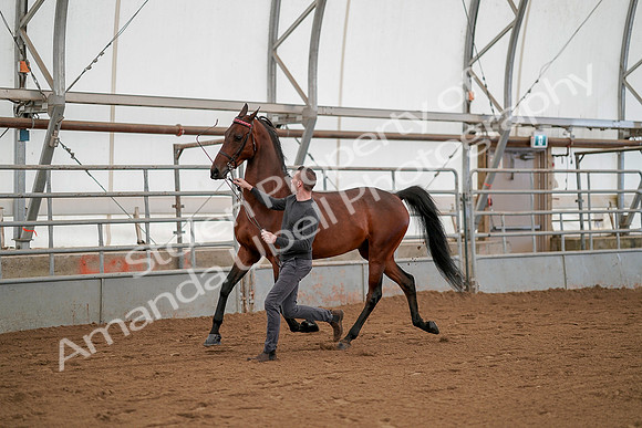 July 19, 2019 - 1169