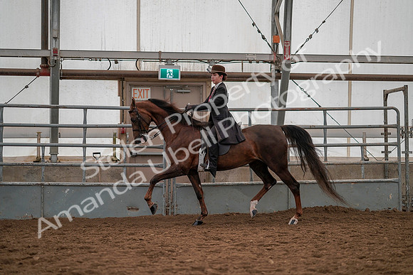 July 19, 2019 - 13021
