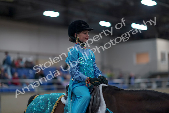 2019 Morgan Horse Show - Aug 31, 2019 - 09960