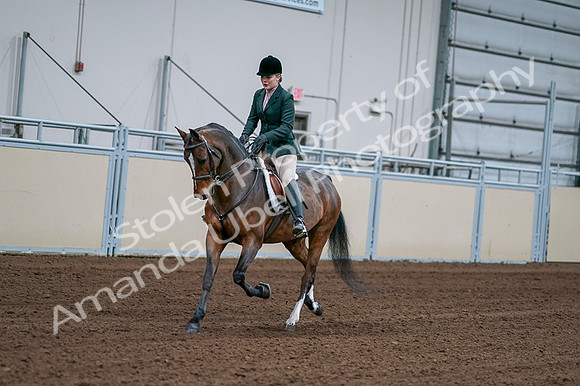 2020 - AB Morgan Horse - Fri, Sept 04 - 01682