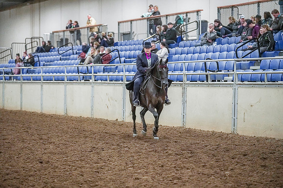 Spring Fling - Saturday - April 20, 2019  -  04467