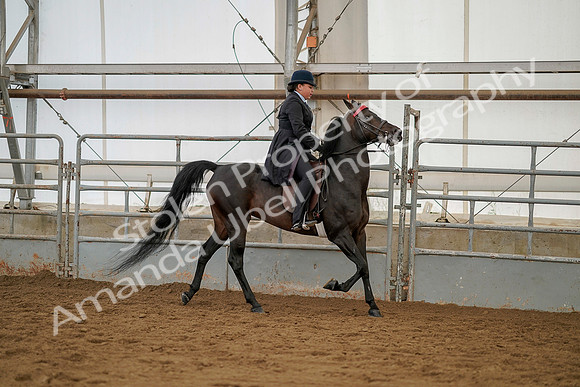July 20, 2019 - 04509