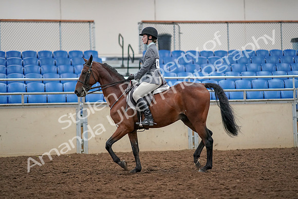 2019 Morgan Horse Show - Aug 30, 2019 - 23209