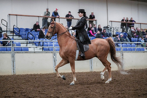 Spring Fling - Saturday - April 20, 2019  -  04139