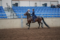 2019 Morgan Horse Show - Sept 01, 2019 - 12746