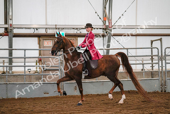 July 19, 2019 - 8738