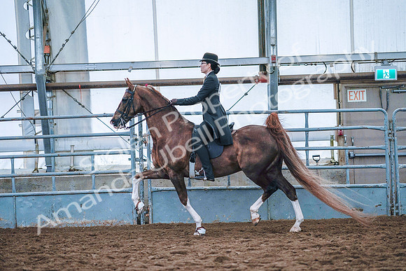 July 20, 2019 - 23857