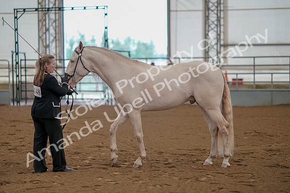 July 19, 2019 - 333