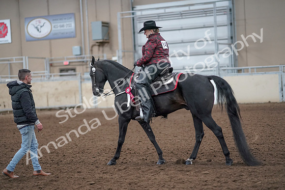 2019 Morgan Horse Show - Aug 31, 2019 - 10833