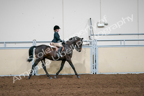2020 - AB Morgan Horse - Sun, Sept 06 - 07981