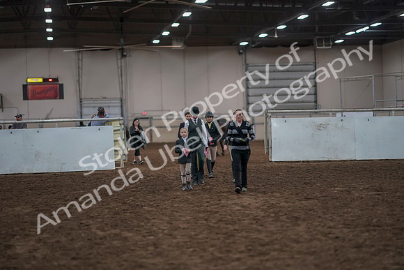 2019 Morgan Horse Show - Aug 31, 2019 - 03917