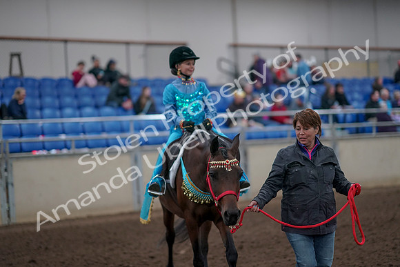 2019 Morgan Horse Show - Aug 31, 2019 - 09954