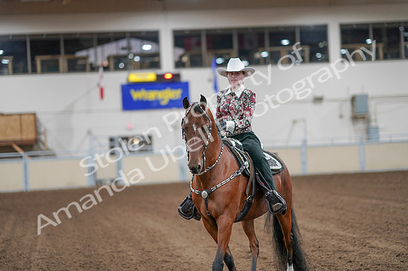 2020 - AB Morgan Horse - Fri, Sept 04 - 08502