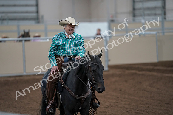 2020 - AB Morgan Horse - Fri, Sept 04 - 00460