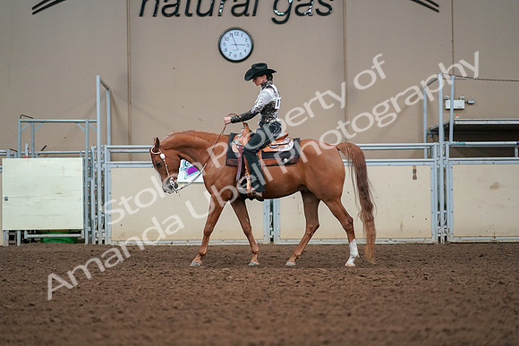 2019 Morgan Horse Show - Aug 30, 2019 - 16790