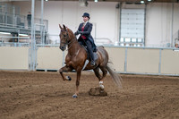 2020 - AB Morgan Horse - Sat, Sept 05 - 06037