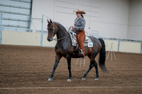 2020 - AB Morgan Horse - Fri, Sept 04 - 00052