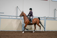 2020 - AB Morgan Horse - Sat, Sept 05 - 03051