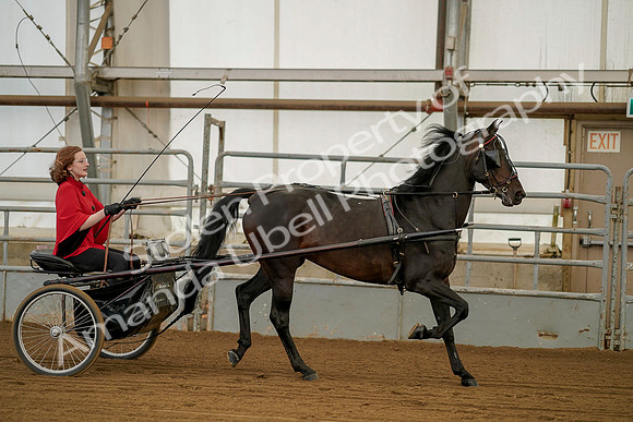 July 20, 2019 - 00216