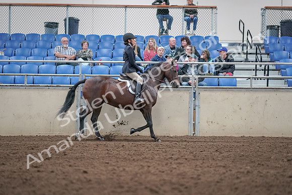 2019 Morgan Horse Show - Aug 31, 2019 - 19604