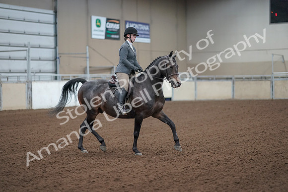 2019 Morgan Horse Show - Sept 01, 2019 - 11009