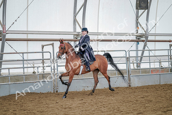 July 20, 2019 - 13679