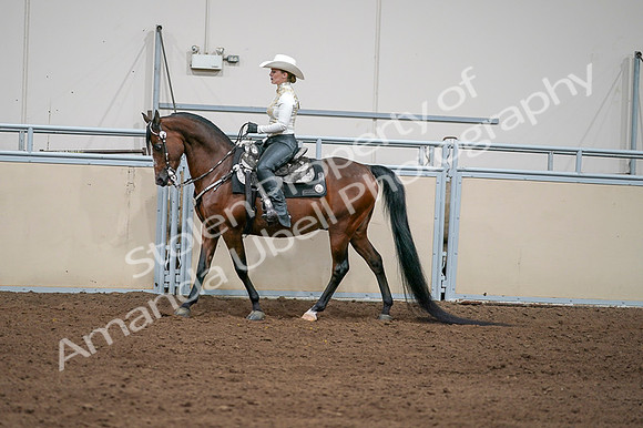 2020 - AB Morgan Horse - Fri, Sept 04 - 08367