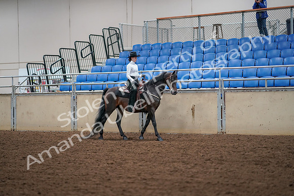 2019 Morgan Horse Show - Aug 30, 2019 - 17082
