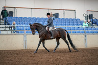 2019 Morgan Horse Show - Aug 30, 2019 - 13884